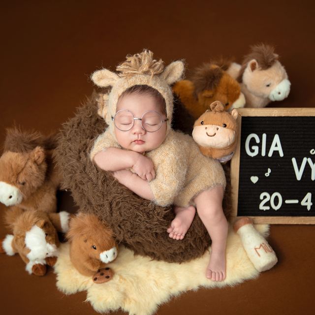 Concept chụp ảnh newborn 2